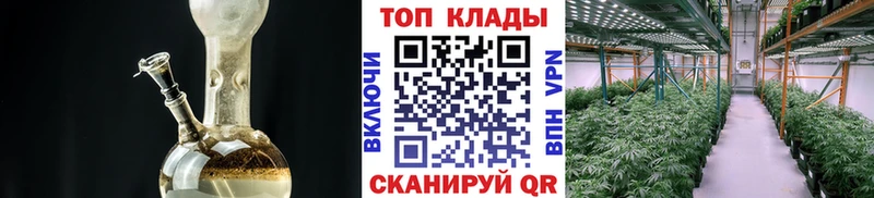 Купить наркотики сайты Починок Альфа ПВП ГАШ Каннабис Псилоцибиновые грибы КОКАИН
