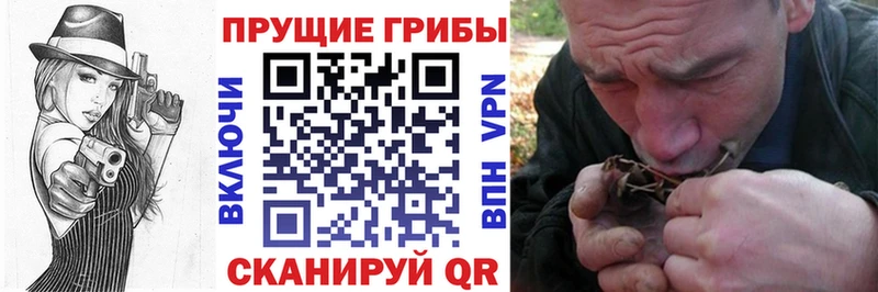 Галлюциногенные грибы ЛСД  Починок 